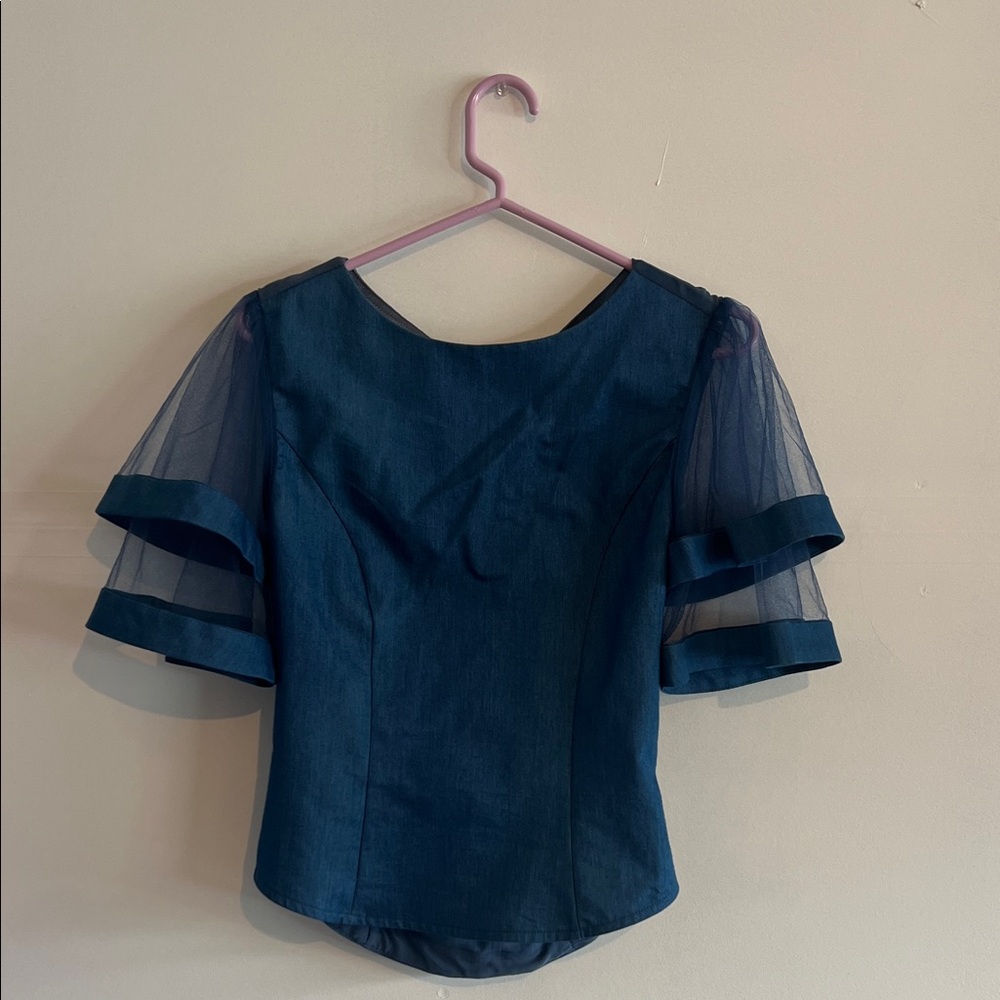Elegant Blue Sheer Sleeve Top